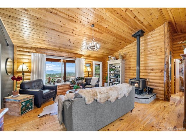 1366 Vagabond Creek Dr, Lake George, CO 80827