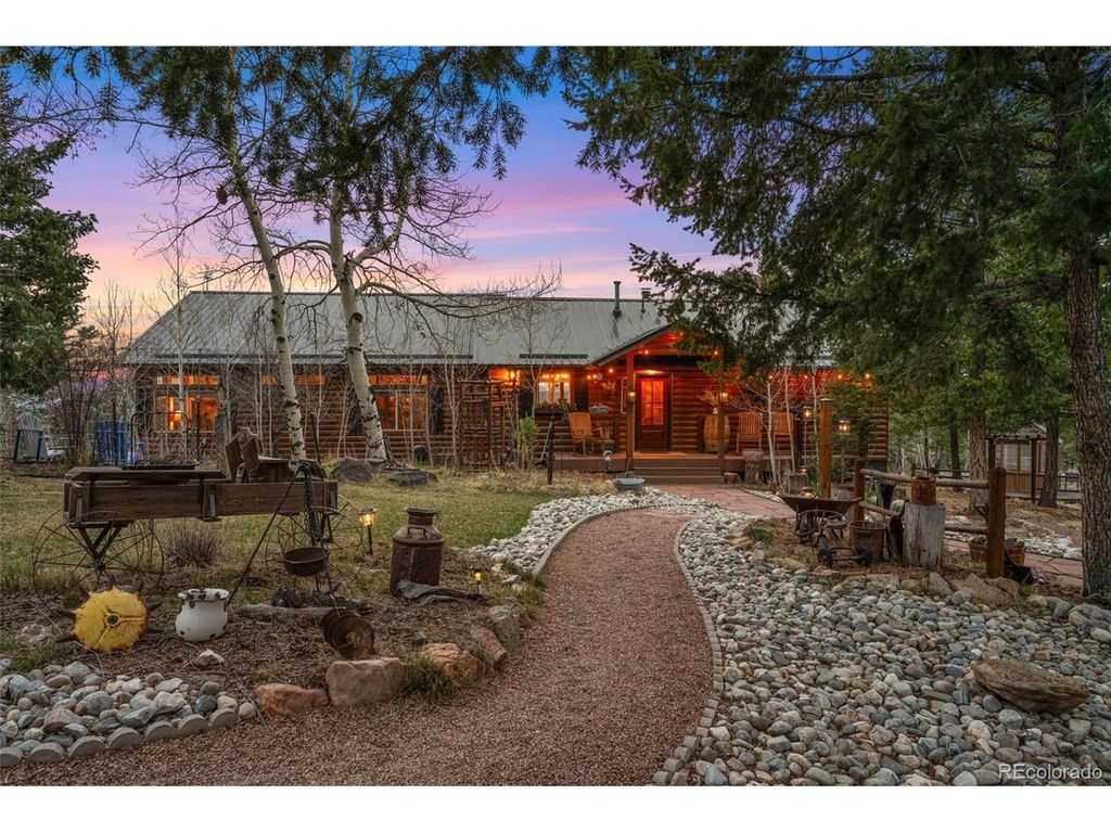 1366 Vagabond Creek Dr, Lake George, CO 80827