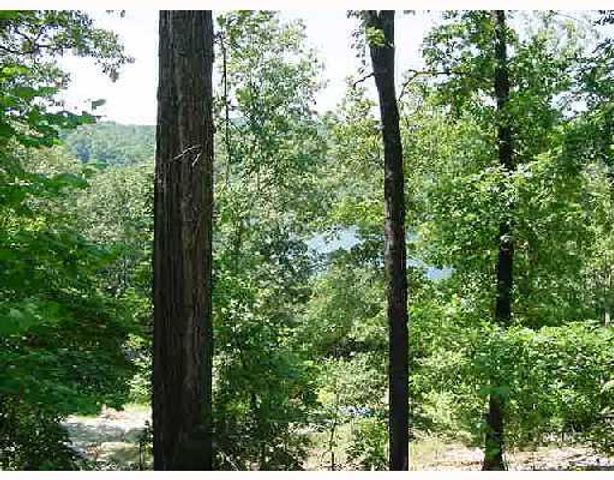 236 County Road 1089, Eureka Springs, AR 72632