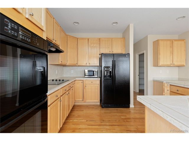 4133 Black Feather Trl, Castle Rock, CO 80104