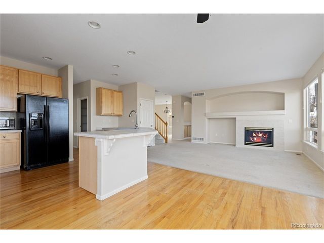 4133 Black Feather Trl, Castle Rock, CO 80104