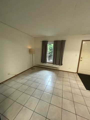 1829 S Carpenter Street 1, Chicago, IL 60608