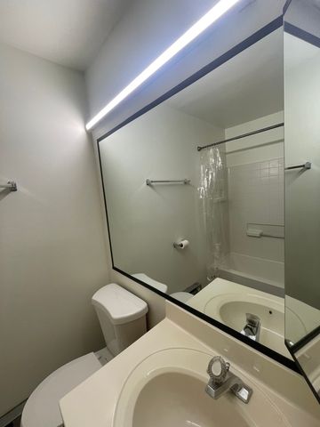 1829 S Carpenter Street 1, Chicago, IL 60608