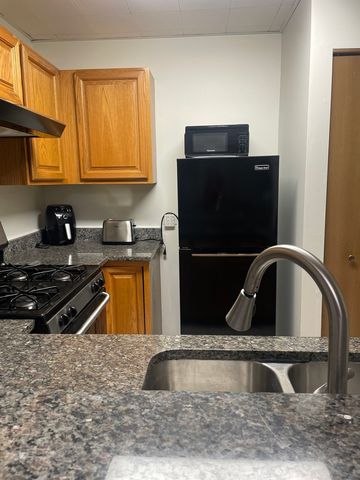 1829 S Carpenter Street 1, Chicago, IL 60608