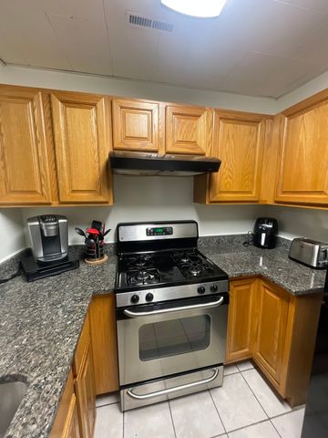 1829 S Carpenter Street 1, Chicago, IL 60608
