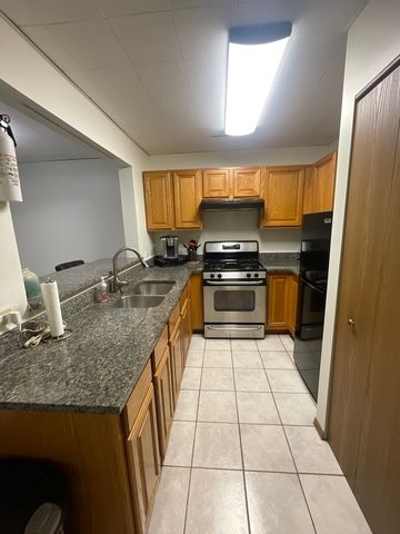 1829 S Carpenter Street 1, Chicago, IL 60608