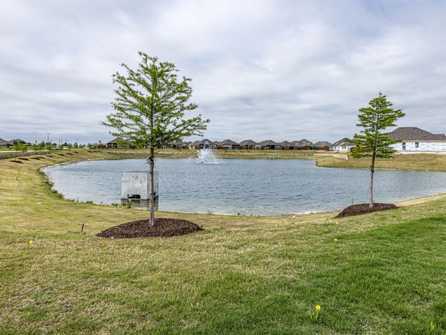 1516 Elizabeth Street, Anna, TX 75409