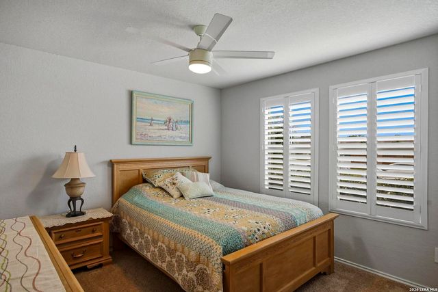 937 Cinnamon Teal, Seguin, TX 78155