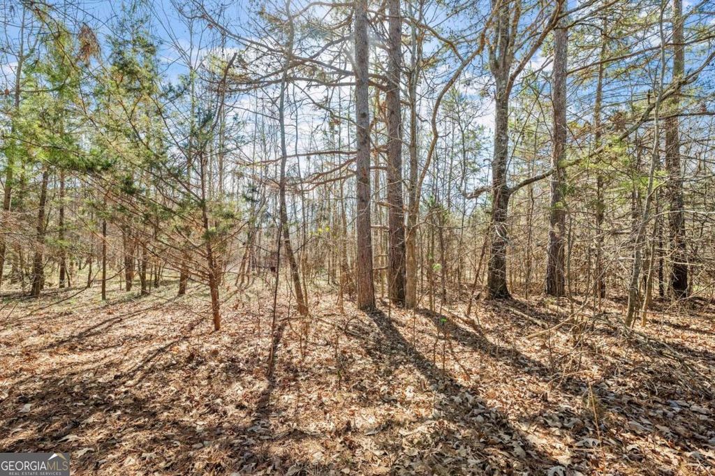 4 W Farm Road, Jefferson, GA 30549 — photo 4