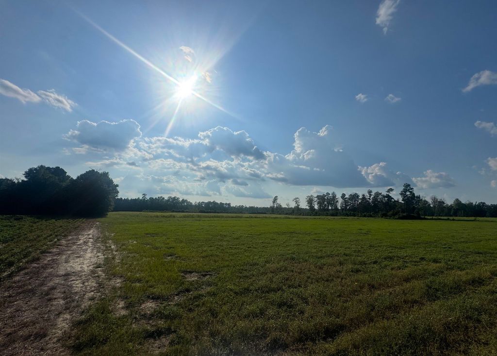 Highway 19, Nichols, SC 29581 — exterior