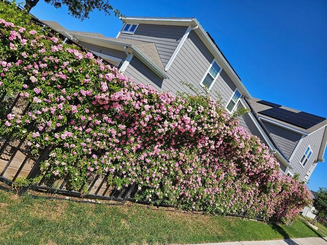 3506 Betty Mews, Rowlett, TX 75089