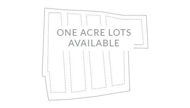 542 Palm Street, Holly Springs, GA 30115