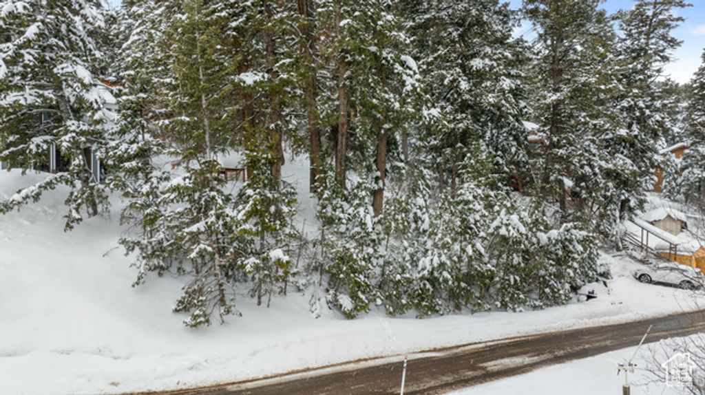 Image 4 of property listing at 156 LOWER EVERGREEN DR # 8, Park City, UT 84098