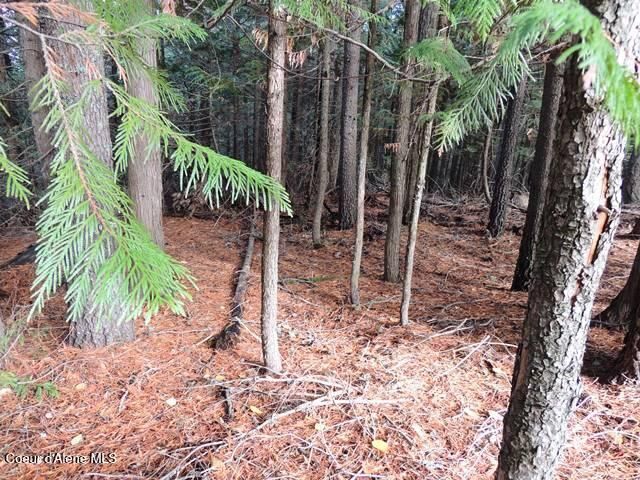 NKA Governors Way, Spirit Lake, ID 83869