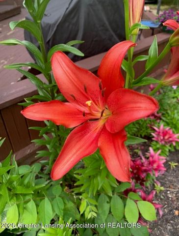 3161 Island Highway, Charlotte, MI 48813