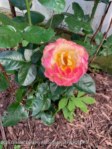 3161 Island Highway, Charlotte, MI 48813