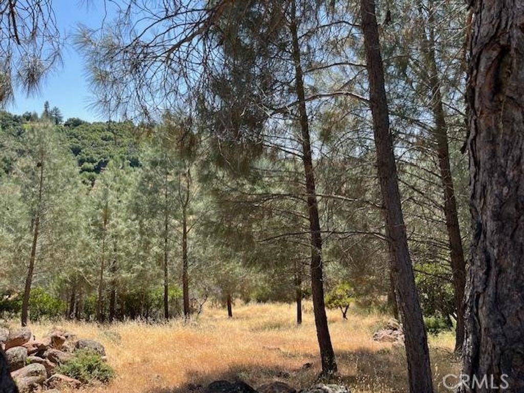 Image 1 of property listing at 10353 Walnut Way, Kelseyville, CA 95451
