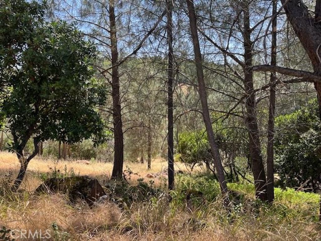 Image 2 of property listing at 10353 Walnut Way, Kelseyville, CA 95451