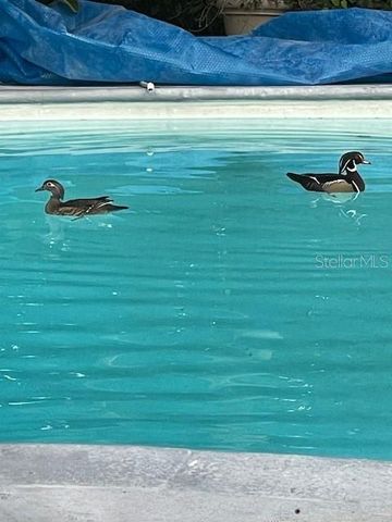 3300 MINEOLA DRIVE, Sarasota, FL 34239