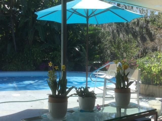 3300 MINEOLA DRIVE, Sarasota, FL 34239