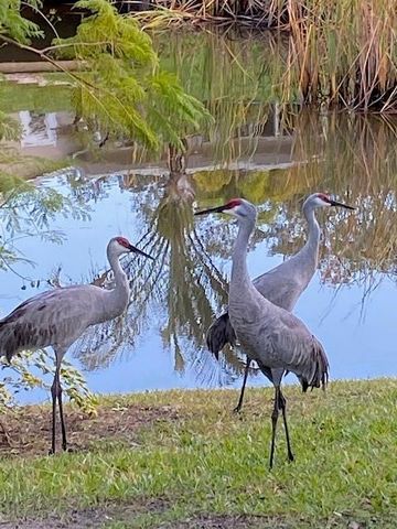 3300 MINEOLA DRIVE, Sarasota, FL 34239