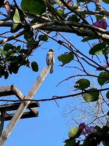 3300 MINEOLA DRIVE, Sarasota, FL 34239