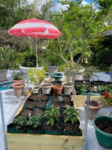 3300 MINEOLA DRIVE, Sarasota, FL 34239