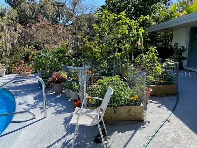 3300 MINEOLA DRIVE, Sarasota, FL 34239