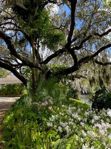 3300 MINEOLA DRIVE, Sarasota, FL 34239