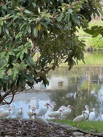 3300 MINEOLA DRIVE, Sarasota, FL 34239