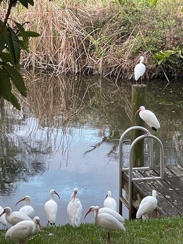 3300 MINEOLA DRIVE, Sarasota, FL 34239