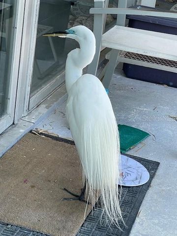 3300 MINEOLA DRIVE, Sarasota, FL 34239