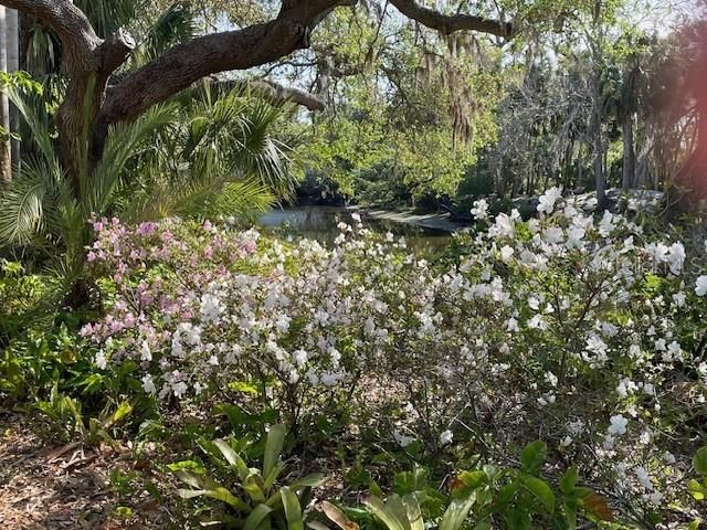 3300 MINEOLA DRIVE, Sarasota, FL 34239