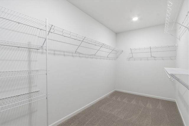 709 Risdon Trail, Saline, MI 48176