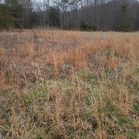 497 Old Bethel Road, Monticello, KY 42633