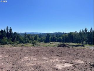 Nick Thomas Rd, Rainier, OR 97048