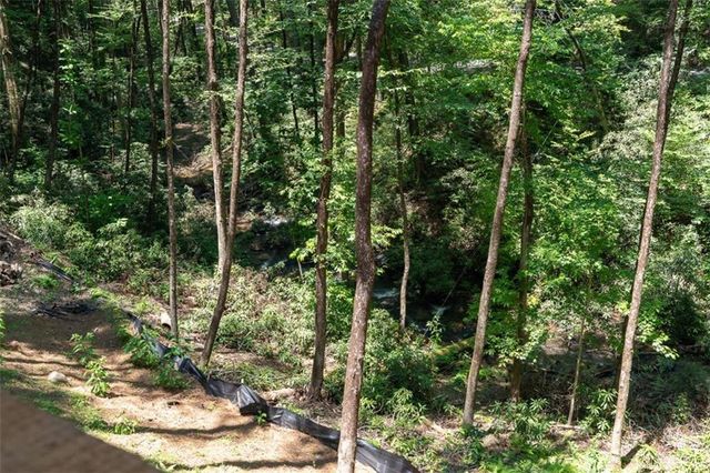 122 Laurel Creek Trail, Blue Ridge, GA 30513