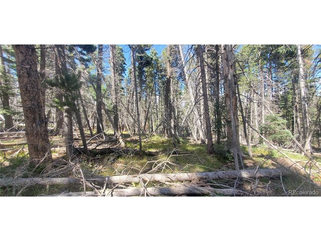 3427 Grojean Dr, Fort Garland, CO 81133