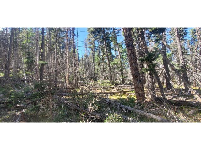 3427 Grojean Dr, Fort Garland, CO 81133