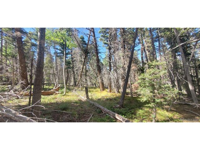 3427 Grojean Dr, Fort Garland, CO 81133