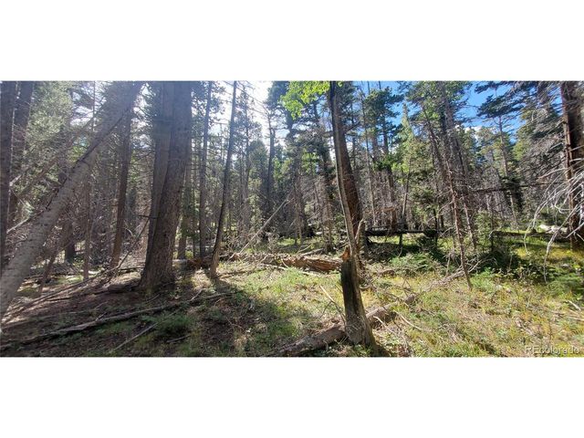 3427 Grojean Dr, Fort Garland, CO 81133