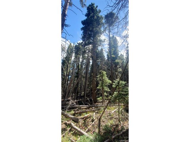 3427 Grojean Dr, Fort Garland, CO 81133