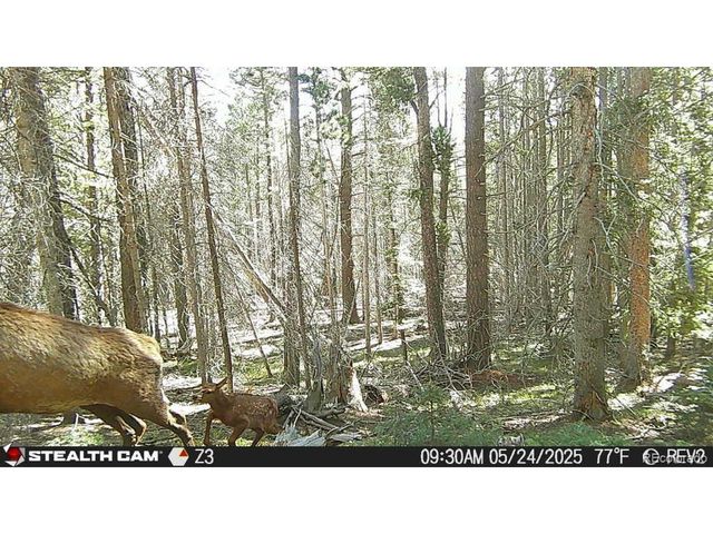 3427 Grojean Dr, Fort Garland, CO 81133