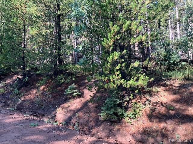 3427 Grojean Dr, Fort Garland, CO 81133