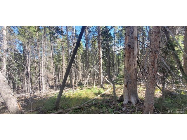 3427 Grojean Dr, Fort Garland, CO 81133