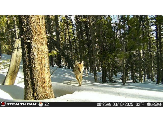 3427 Grojean Dr, Fort Garland, CO 81133