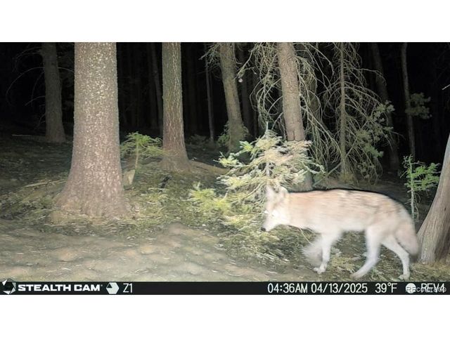 3427 Grojean Dr, Fort Garland, CO 81133