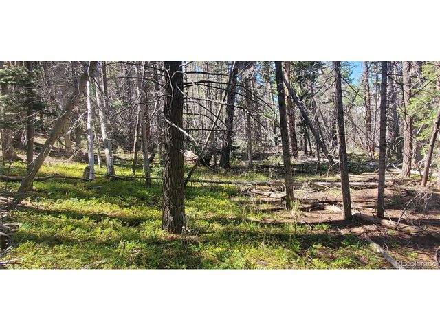 3427 Grojean Dr, Fort Garland, CO 81133