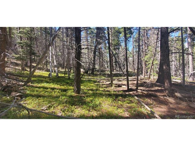 3427 Grojean Dr, Fort Garland, CO 81133