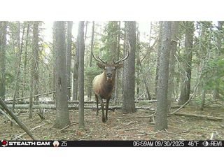 3427 Grojean Dr, Fort Garland, CO 81133